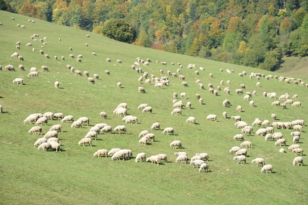 Príďte na Lumentúru a vyhrajte pobyt v Slovenskom raji!