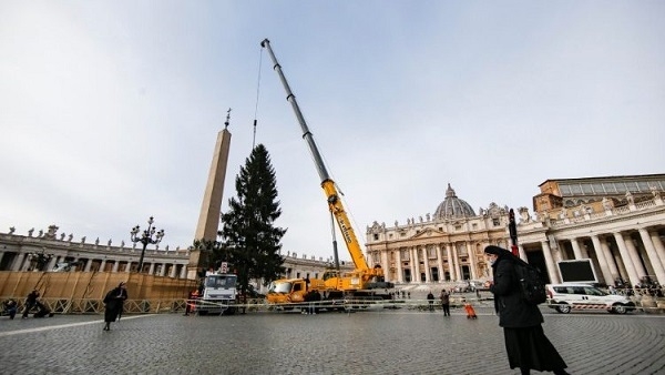 Aktualizované Talianske regióny sa sporia o pápežský vianočný stromček